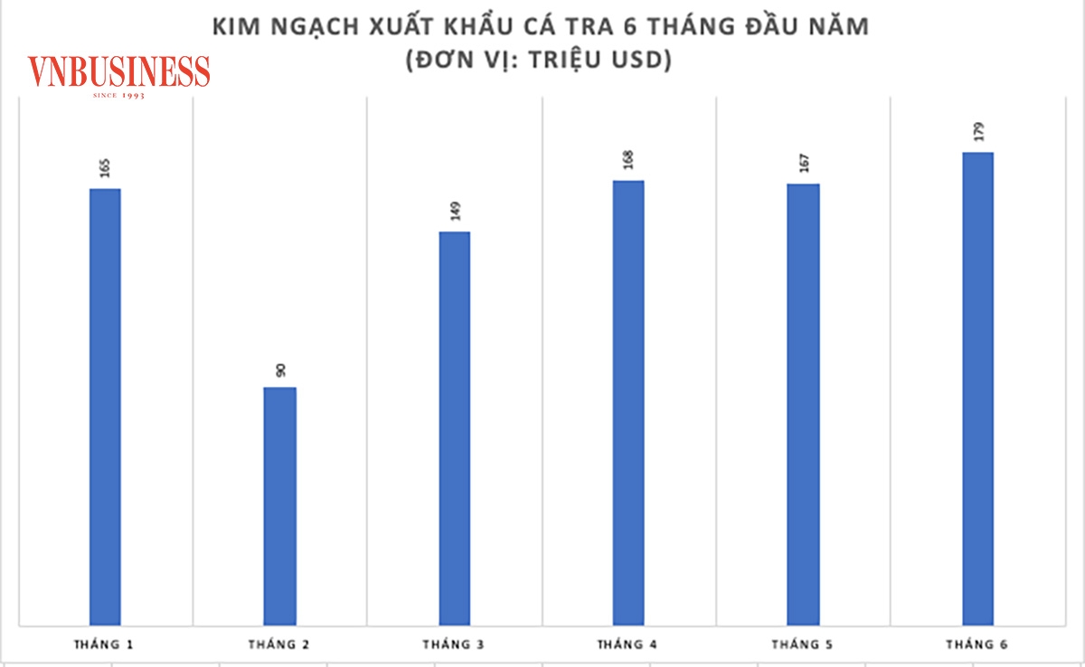 Kim ngạch xuất khẩu cá tra nửa đầu năm nay đạt gần 918 triệu USD, tăng 5% so với cùng kỳ năm trước.