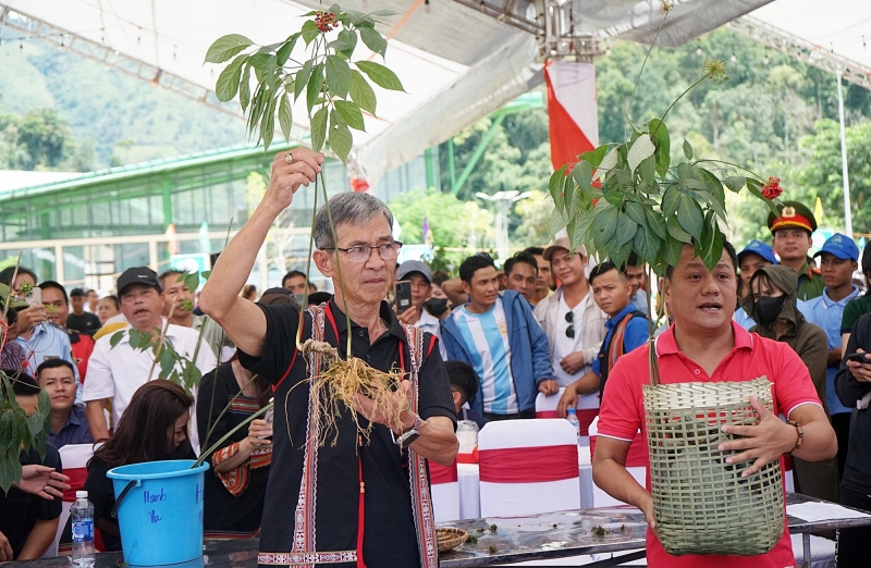 Lễ hội Sâm Ngọc Linh lần thứ 6 được tổ chức tại huyện Nam Trà My, tỉnh Quảng Nam.