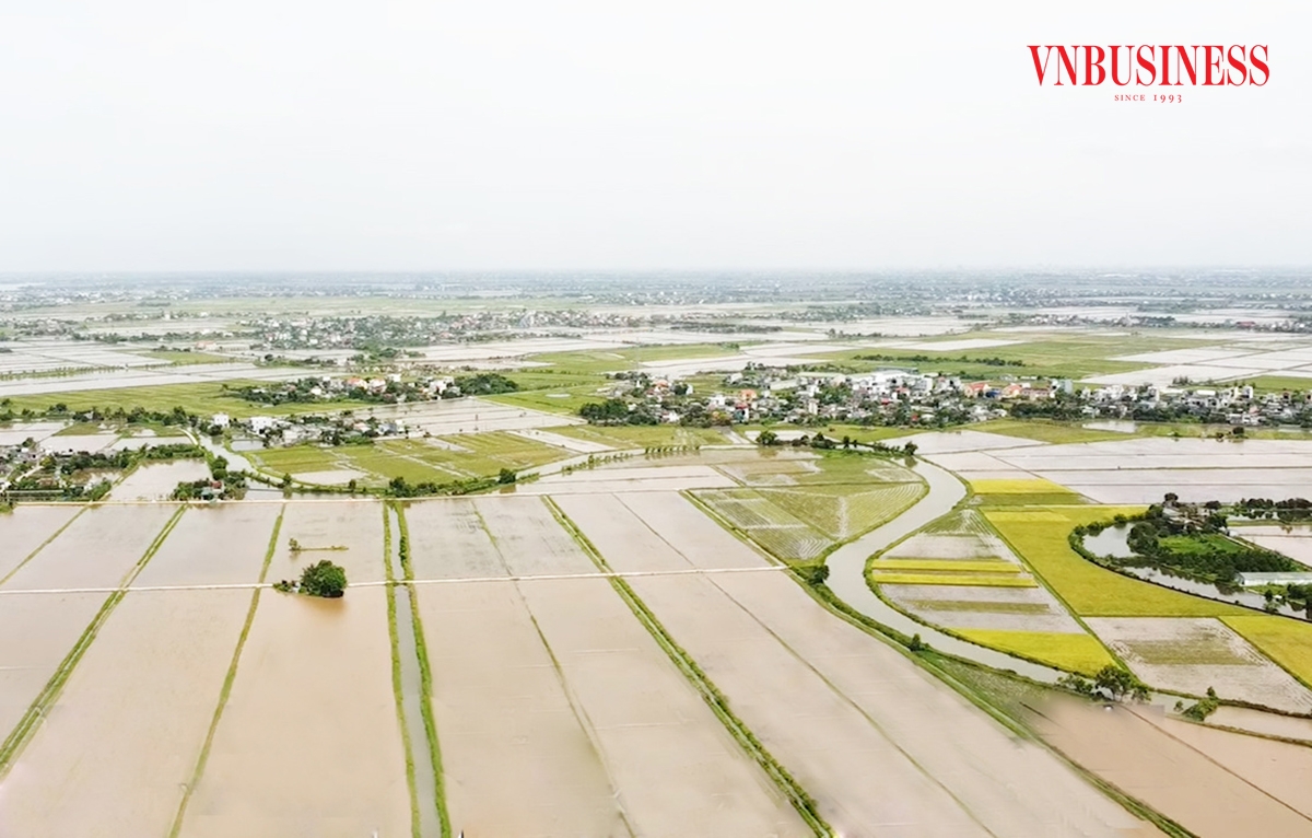 Diện mạo nông nghiệp huyện Kiến Xương khởi sắc nhờ những nông dân năng động, sáng tạo.