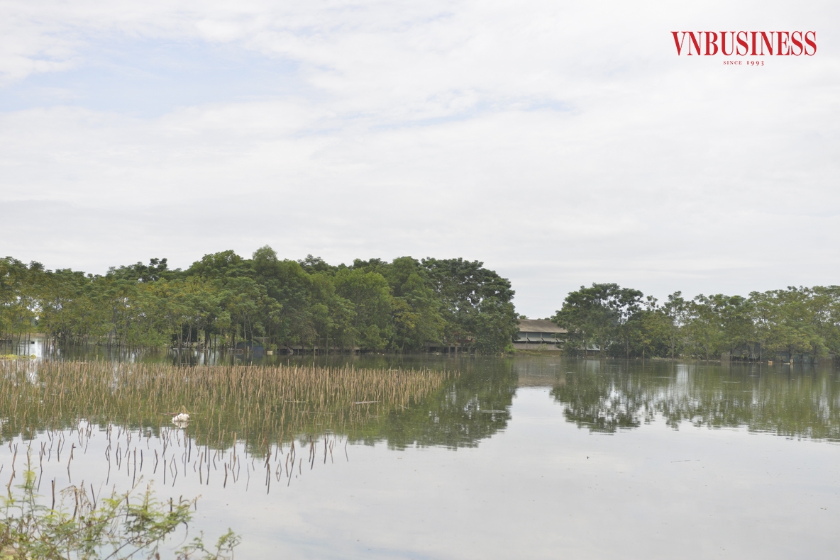 Thống kê của HTX NN Nam Phương Tiến, đã có hơn 200ha diện tích cấy lúa và cây hoa màu bị thiệt hại, 135ha diện tích chăn nuôi thủy sản đã bị nước nhấn chìm hoàn toàn, trên 20 nghìn gia cầm, vật nuôi bị cuốn trôi theo lũ, gây thiệt hại hàng chục tỷ đồng.