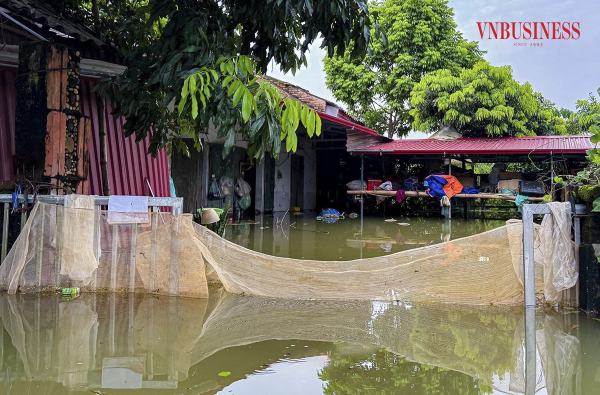 Một số hộ chăn nuôi thủy sản quy mô nhỏ đã thực hiện quây lưới xung quanh khu vực chăn nuôi nhằm hạn chế tối đa thiệt hại do vật nuôi thoát ra ngoài.