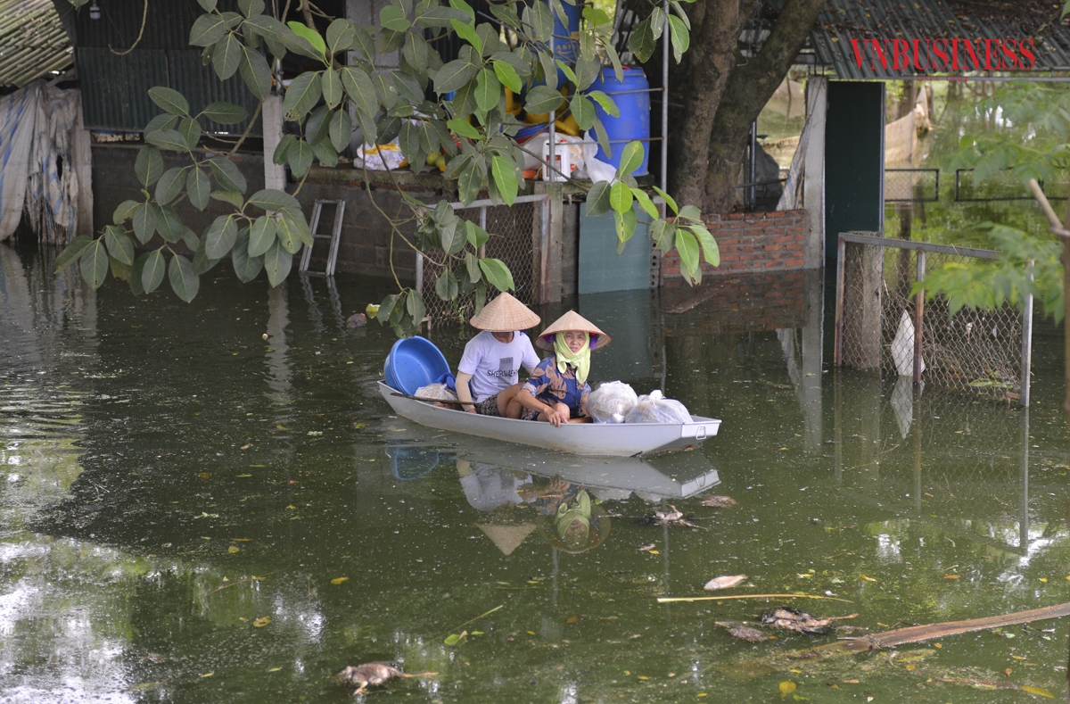Mùi hôi thối của rác thải, xác chết động vật mang theo những nguy cơ về dịch bệnh, mất vệ sinh môi trường, ảnh hưởng nghiêm trọng đến sức khỏe và đời sống nhân dân.