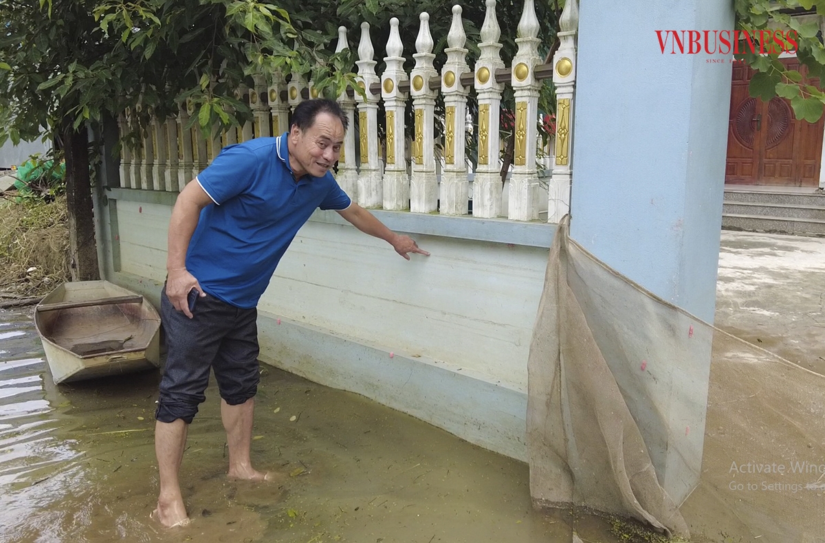 Theo ông Phùng Văn Mạnh, Phó Giám đốc HTX NN Nam Phương Tiến, trận ngập lụt năm nay do nước sông Bùi dâng cao, tràn qua đê khiến nhiều hộ dân sản xuất nông nghiệp, chăn nuôi gia súc, gia cầm, thả cá bị ảnh hưởng nặng nề, thậm chí mất trắng.