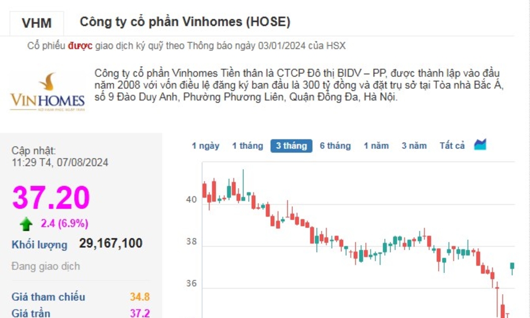 VnBusiness
