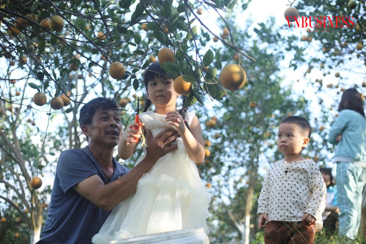 HTX đã triển khai mô hình nông nghiệp kết hợp với du lịch sinh thái, để du khách có thể tham quan, trải nghiệm tại vườn.