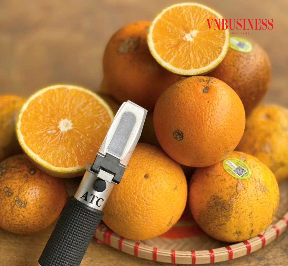 HTX sử dụng máy Brix để đo độ ngọt của các loại quả trước khi xuất ra thị trường.