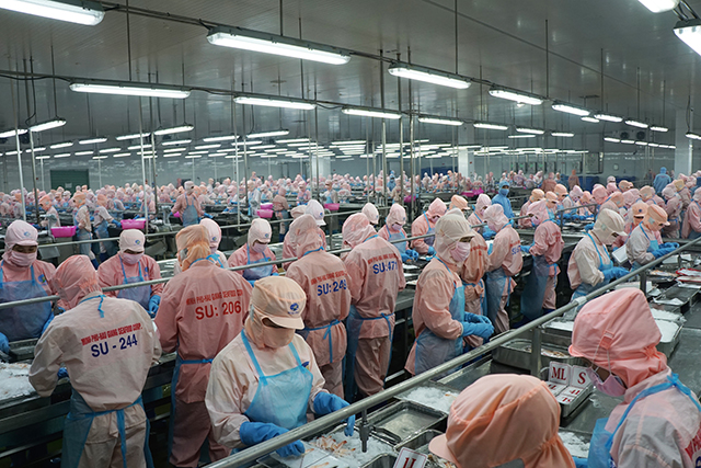 Kinh doanh khởi sắc, vua tôm vẫn không hoàn thành nổi 5% mục tiêu lợi nhuận.