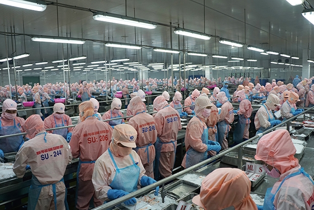 Kinh doanh khởi sắc, vua tôm vẫn không hoàn thành nổi 5% mục tiêu lợi nhuận.