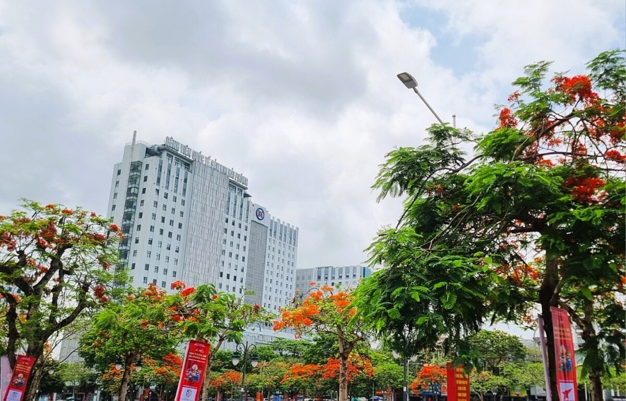 Thu nội địa tăng cao là sự phát triển bền vững để góp phần xây dựng hạ tầng thành phố Hải Phòng.