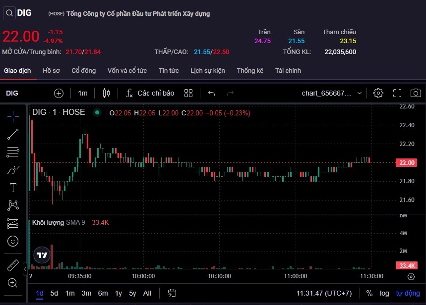 Trong phiên sáng 12/8, có thời điểm cổ phiếu DIG chạm giá sàn.