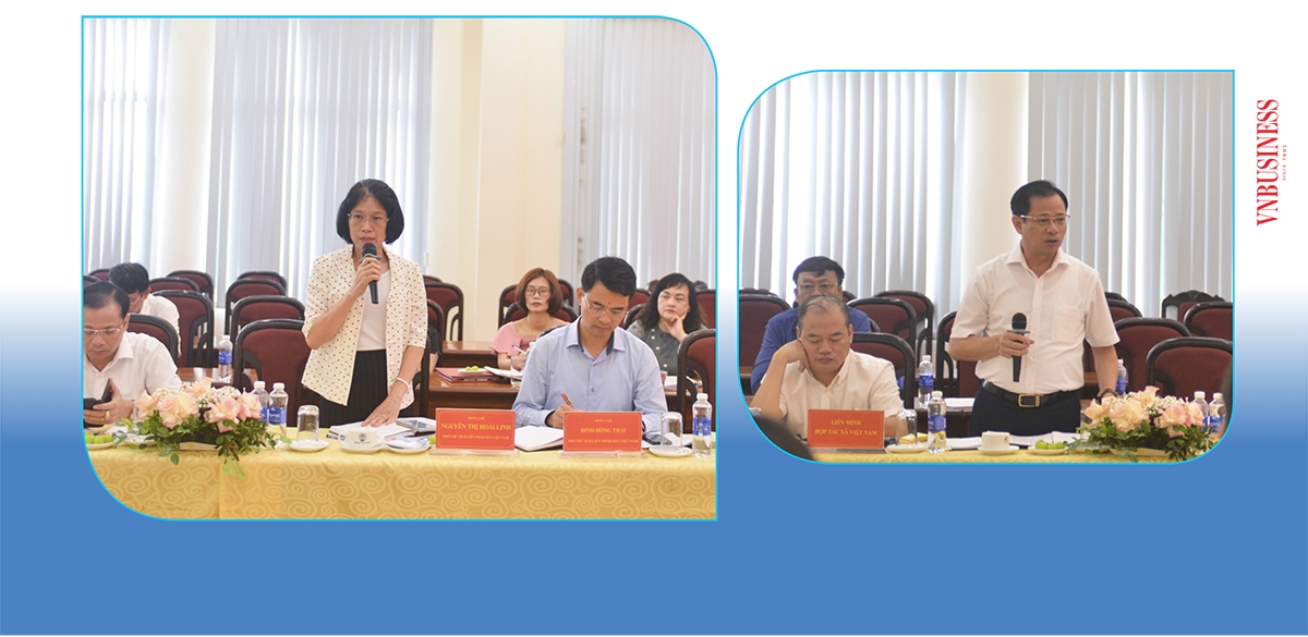 Các đại biểu đoàn Liên minh HTX Việt Nam đóng góp ý kiến tại buổi làm việc.