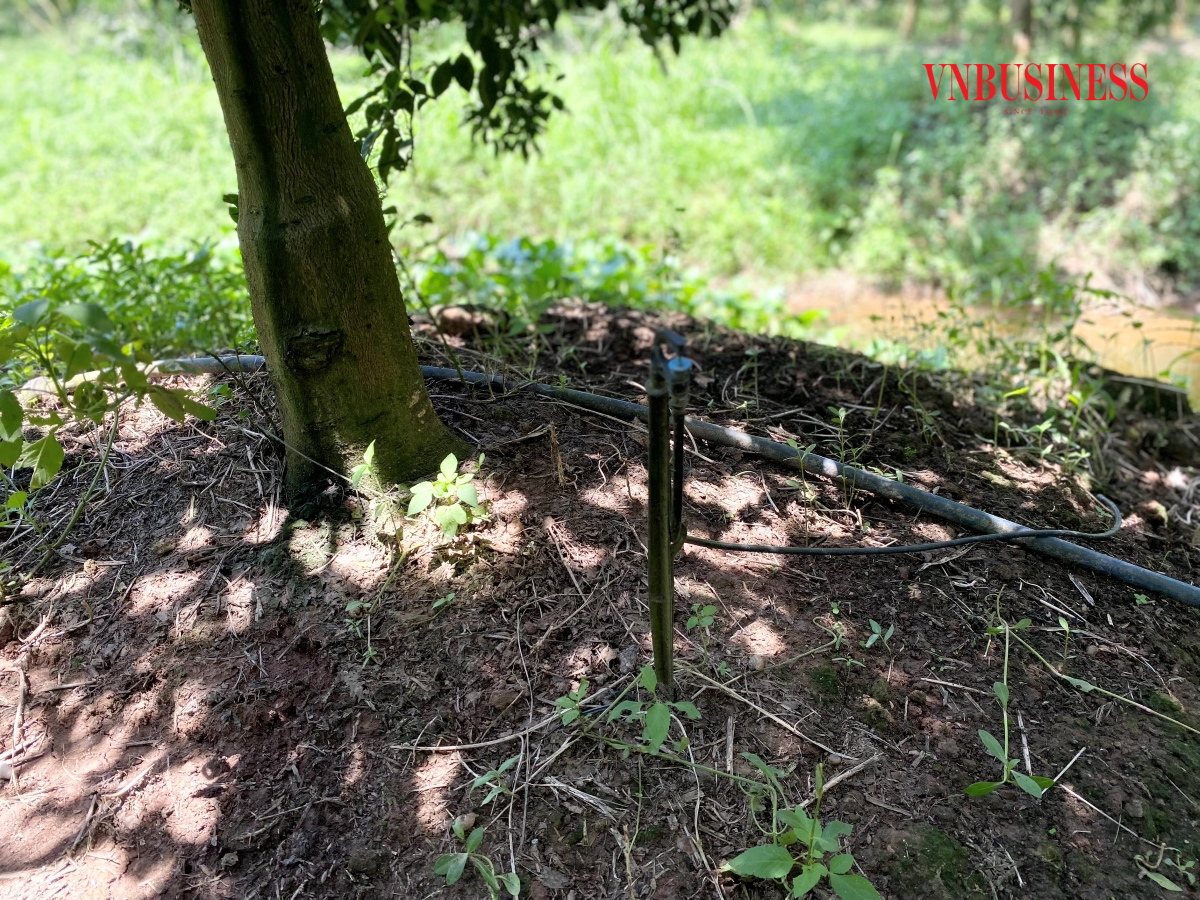 HTX đầu tư toàn bộ máy móc hiện đại vào quy trình chăm sóc: máy phun tưới, máy làm cỏ, máy xới đất, hệ thống tưới tiêu tự động,...