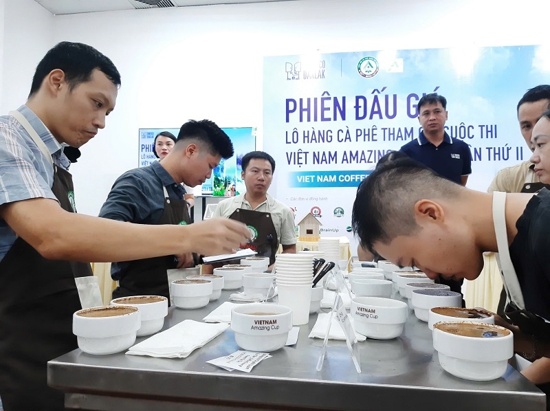 Lô cà phê Arabica được trồng tại Hướng Hoá &lpar;tỉnh Quảng Trị&rpar; đã được một khách hàng trả giá lên đến 1.200.000 đồng/kg.