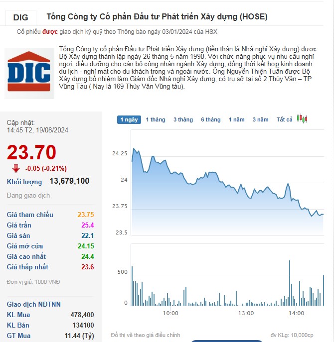 Diễn biến cổ phiếu DIG trong phiên 19/8.