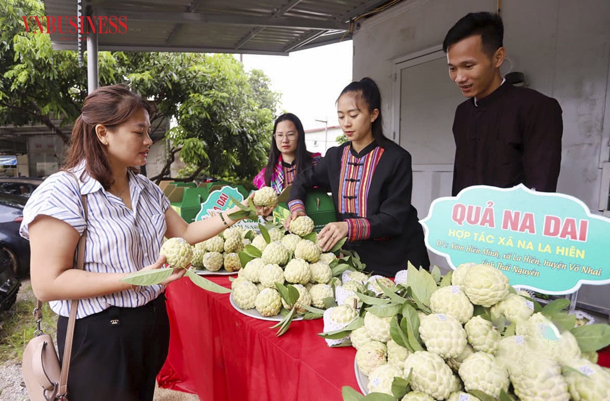Sản phẩm quả na của HTX chủ yếu được bán trực tiếp cho các thương lái, ngoài ra còn được bán qua các buổi livestream bán hàng trực tuyến trên các nền tảng số, như Facebook, TikTok ...