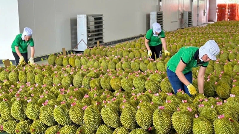 Thái Lan hiện là quốc gia tăng mua nông sản Việt mạnh nhất trong 7 tháng đầu năm.