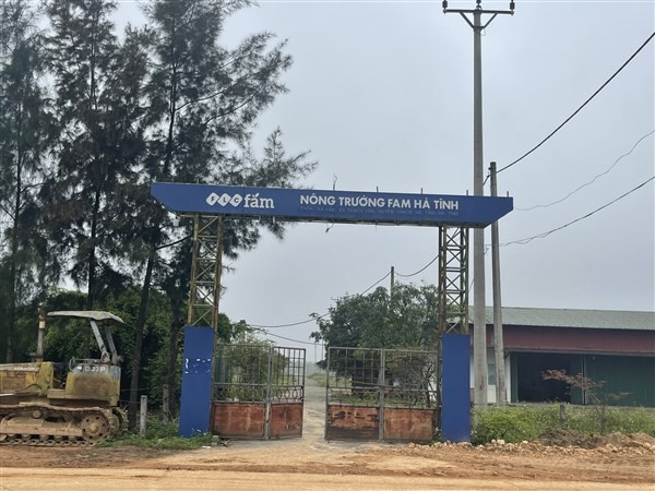 Dự án, máy móc trong tình trạng hoang hóa nhiều năm liền.