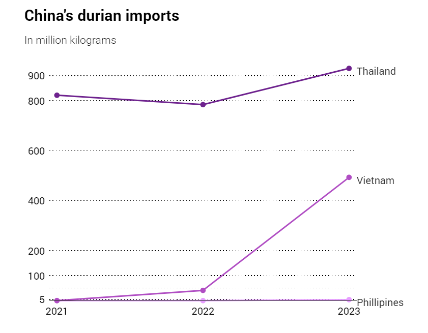 Nhập khẩu sầu riêng của Trung Quốc.