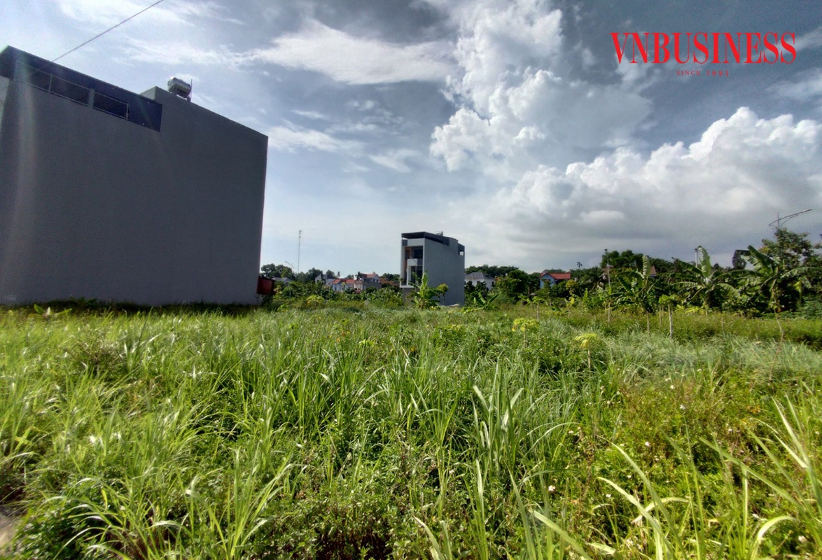 Mua gom đất nông nghiệp có nhiều tiềm năng nhưng cũng lắm rủi ro chôn vốn.