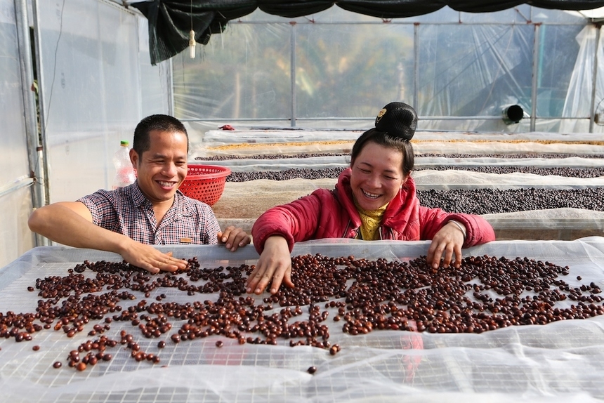 Liên kết chuỗi giá trị hàng hóa thúc đẩy tái cơ cấu ngành nông nghiệp.