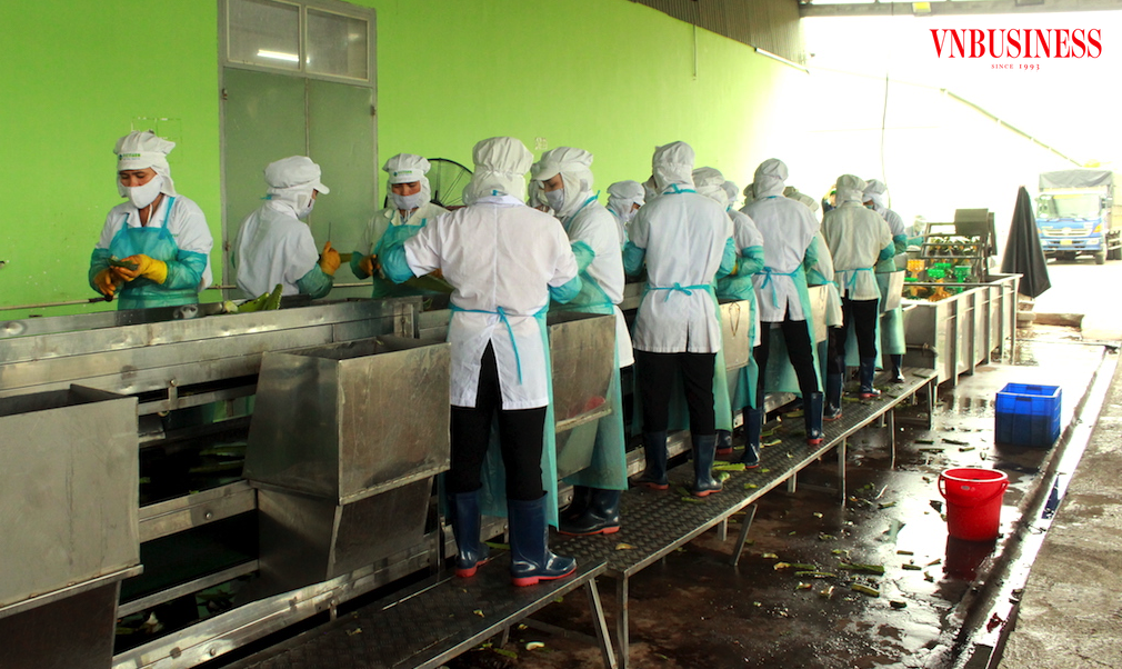 Còn nhiều vấn đề cần giải quyết nhanh để ngành hàng nông sản Việt có được chuỗi giá trị bền vững hơn nữa.