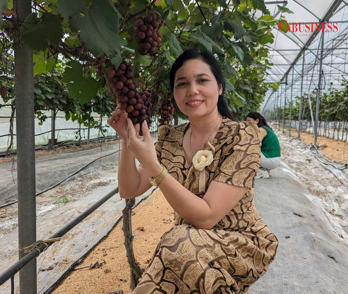 Từ đầu năm đến nay, HTX Bình Dương đã đón tiếp hơn 2.500 lượt khách tham gia trải nghiệm làm nông nghiệp.