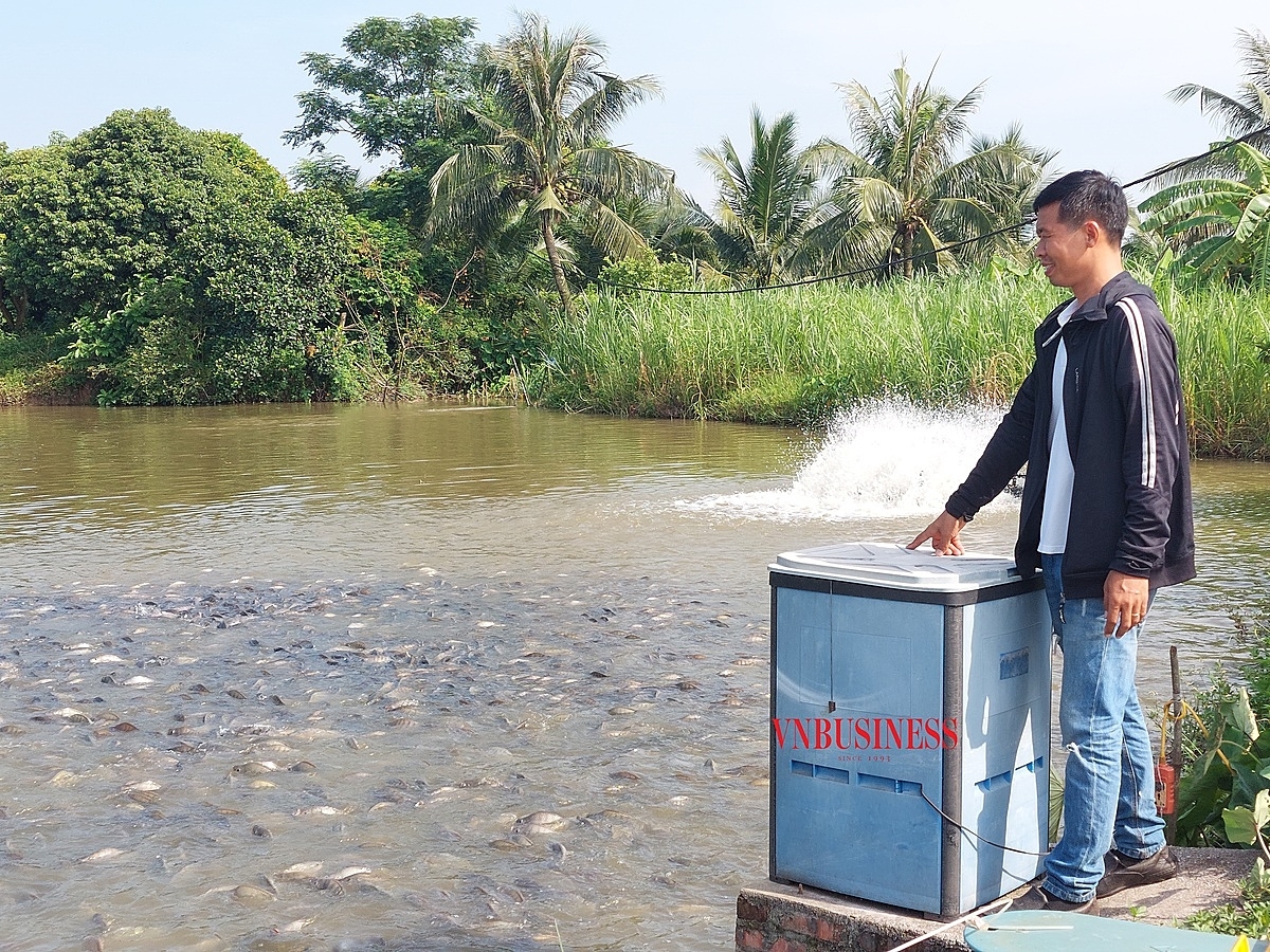 Anh Hiếu giới thiệu hệ thống máy cho cá ăn tự động.