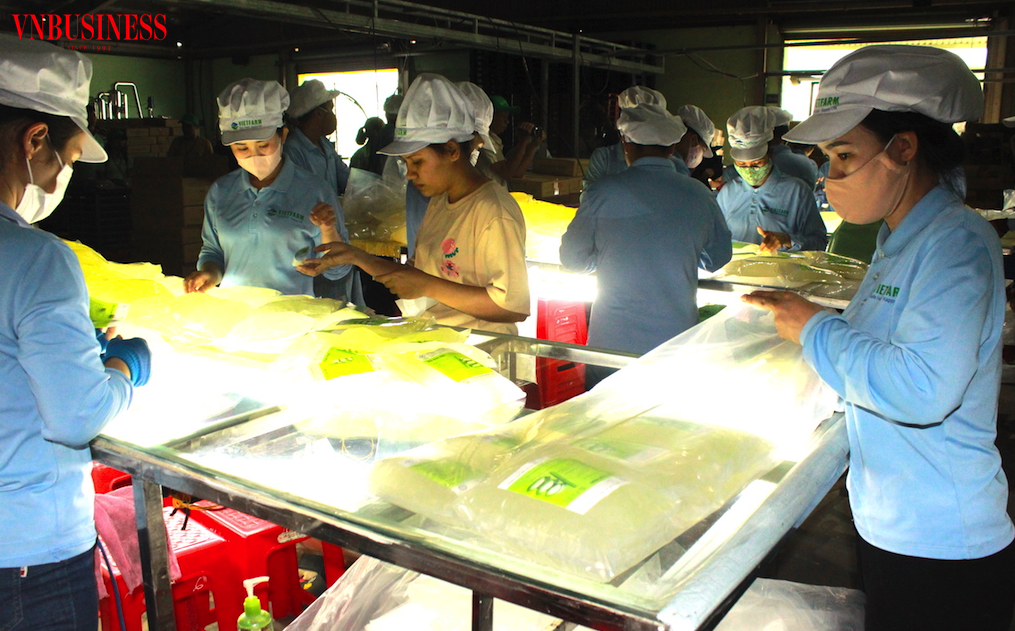 Các DN Việt hướng đến xuất khẩu cần có hành động cụ thể hơn nữa về trách nhiệm môi trường, xã hội và quản trị &lpar;ESG&rpar; để tránh rủi ro mang tiếng xấu.