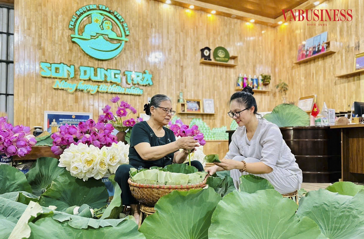 Trà đinh ướp hoa sen là một trong số những dòng sản phẩm cao cấp nhất của HTX trà Sơn Dung