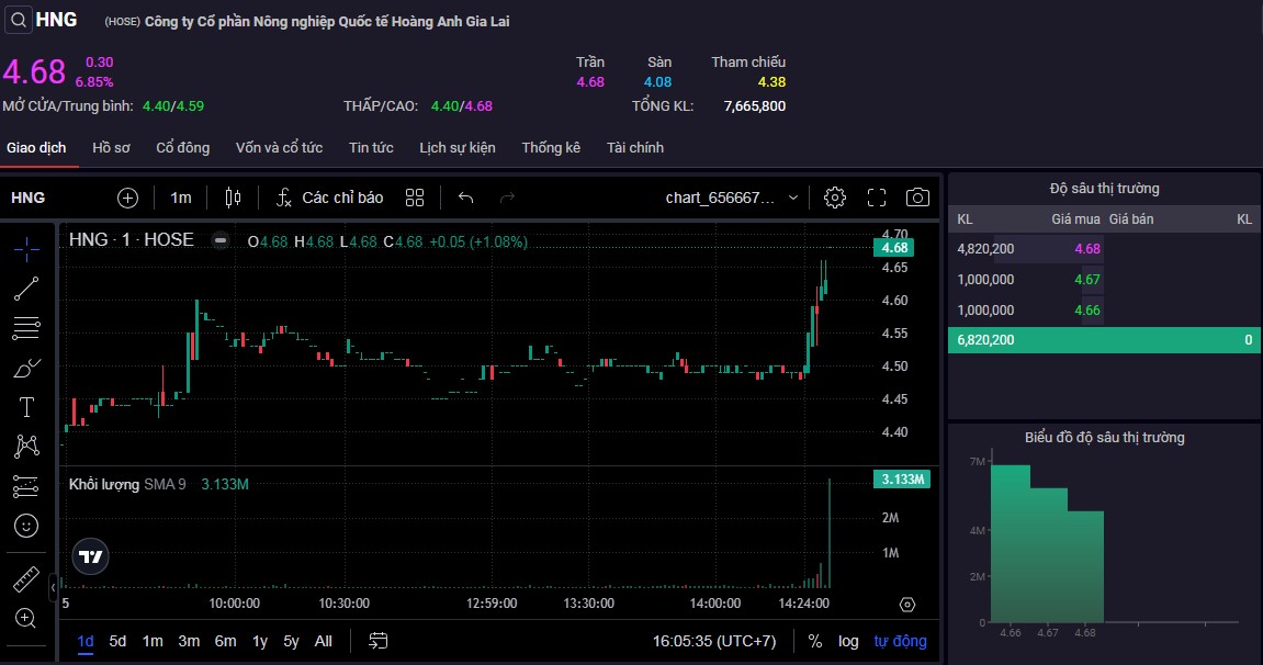 Cổ phiếu HNG tăng trần trong phiên giao dịch cuối cùng trên HoSE.