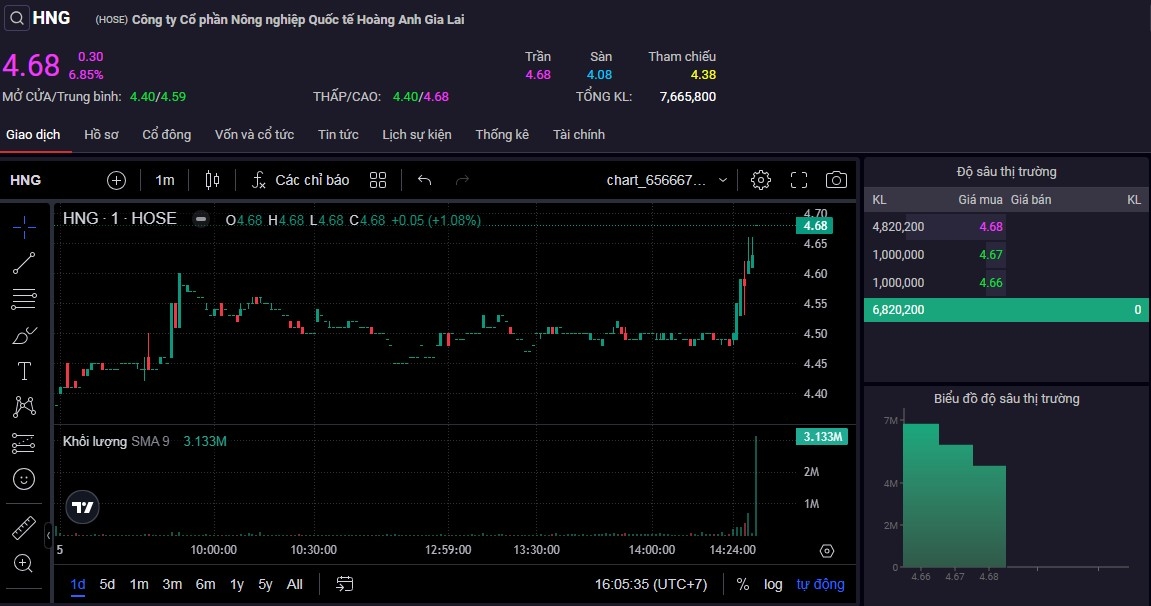 Cổ phiếu HNG tăng trần trong phiên giao dịch cuối cùng trên HoSE.