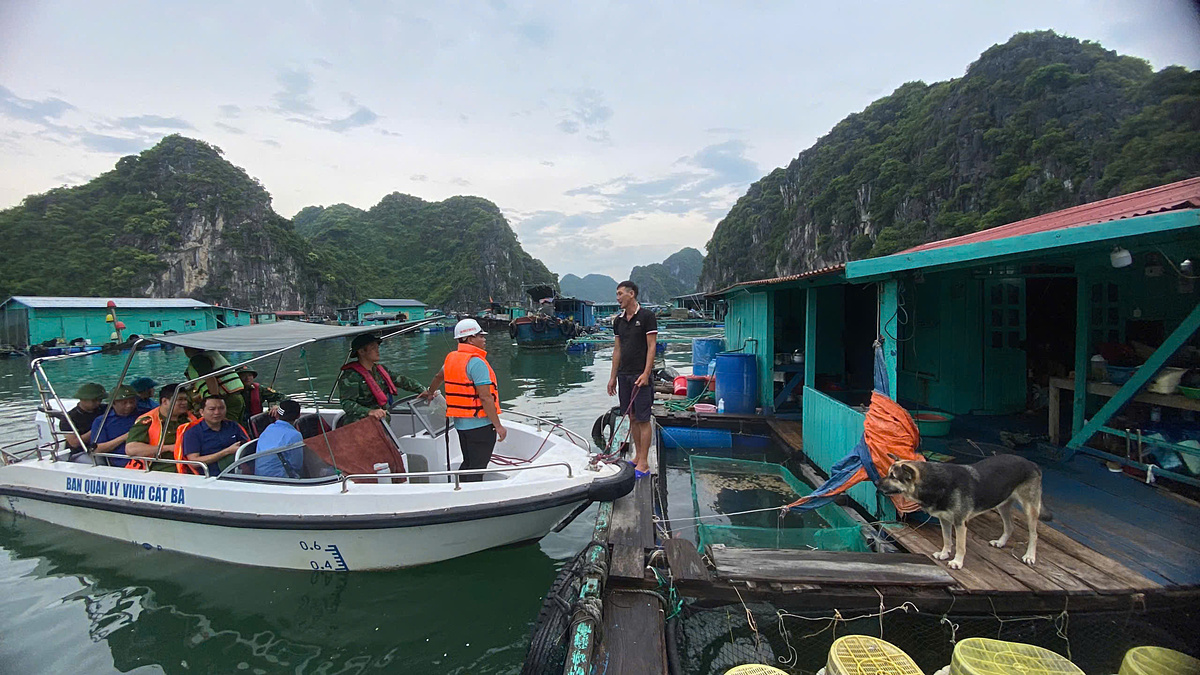 Chính quyền và bộ đội huyện Cát Hải đến từng hộ nuôi lồng bè yêu cầu di chuyển về nơi tránh trú bão số 3.