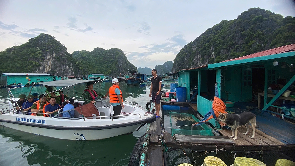 Chính quyền và bộ đội huyện Cát Hải đến từng hộ nuôi lồng bè yêu cầu di chuyển về nơi tránh trú bão số 3.