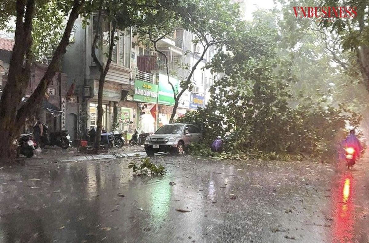 Thông tin từ Trung tâm Dự báo Khí tượng Thủy văn Quốc gia lúc 16h ngày 6/9, vị trí tâm bão Yagi vào khoảng 19,9 độ Vĩ Bắc; 110,8 độ Kinh Đông, trên đất liền phía Đông Bắc đảo Hải Nam &lpar;Trung Quốc&rpar;; cách Quảng Ninh khoảng 420km về phía Đông Đông Nam.