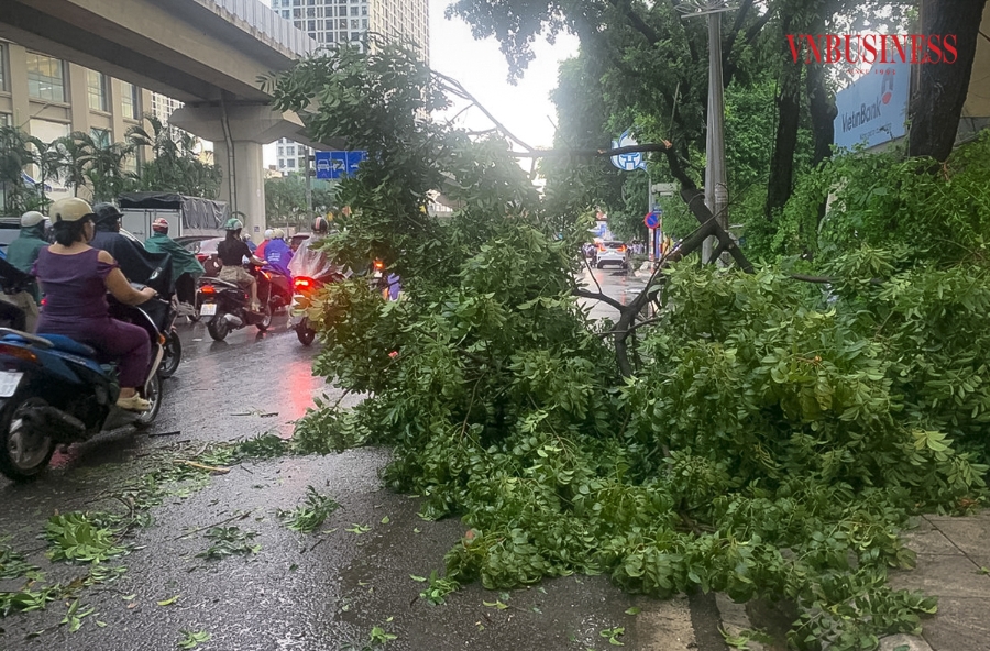 Theo ghi nhận của VnBusiness, do ảnh hưởng của cơn bão số 3 &lpar;bão Yagi&rpar;, Hà Nội bắt đầu mưa lớn trong buổi chiều ngày 6/9, gió giật mạnh khiến đường phố Hà Nội nhiều nơi trở nên ngập úng, cây cối gãy đổ.