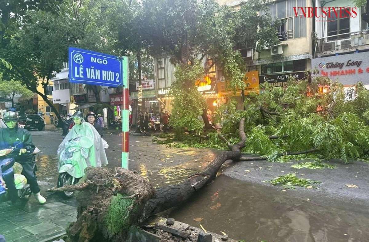 Tuyến phố Lê Văn Hưu &lpar;quận Hoàn Kiếm&rpar; cây đổ ngang đường gây ảnh hưởng đến người và các phương tiện tham gia giao thông.