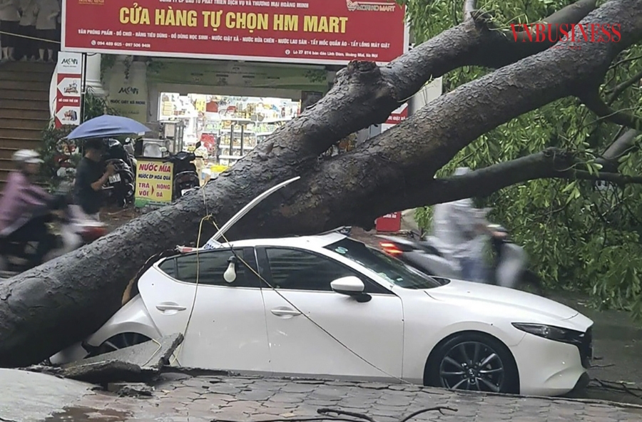 Cây lớn đổ sập đè lên chiếc xe ô tô đang dừng đỗ tại khu vực bán đảo Linh Đàm &lpar;phường Hoàng Liệt, quận Hoàng Mai&rpar;