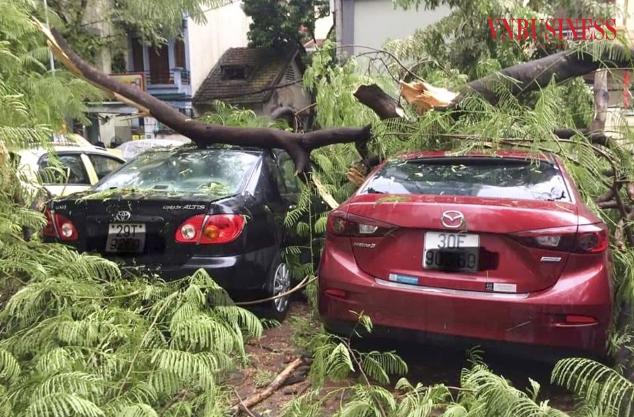 Trước đó, mặc dù các đơn vị chức năng đã thực hiện việc cắt tỉa cành cây, tuy nhiên do mưa lớn, gió mạnh cành cây bị gãy khiến nhiều phương tiện bị thiệt hại nghiêm trọng