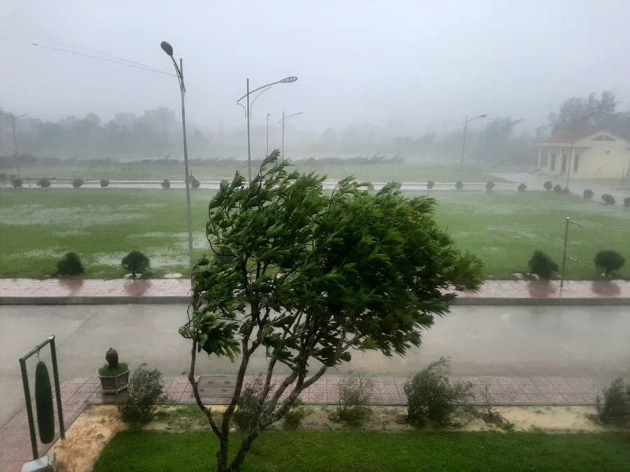 Cường độ gió trên đảo Cô Tô làm rung chuyển cả xe ô tô 1,6 tấn.