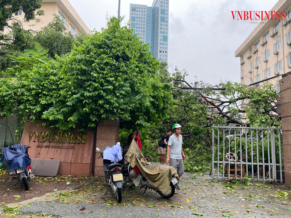 Hà Nội đang triển khai nhiều giải pháp khắc phục hậu quả sau siêu bão Yagi &lpar;Ảnh: Phạm Hòa&rpar;.