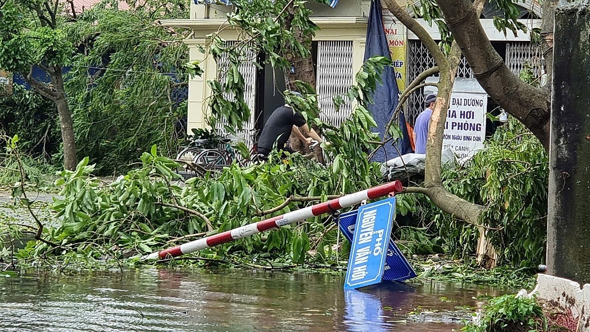 Cột tuyến phố và cây đổ ngang đường trên địa bàn quận Hải An.