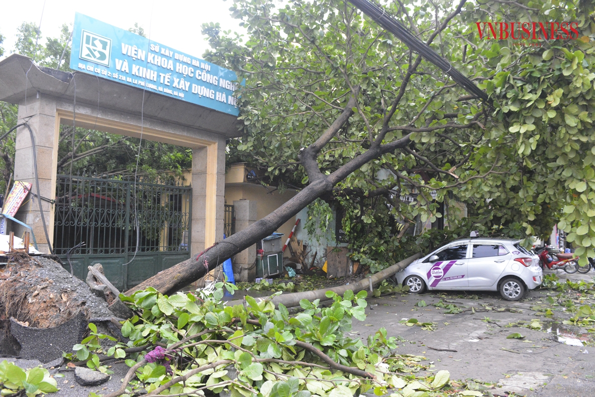Bão số 3 &lpar;Yagi &rpar; đi qua khiến hàng loạt cây xanh, cột điện ở Hà Nội gãy đổ, bật gốc nằm ngổn ngang khắp các nẻo đường Hà Nội, cản trở giao thông, gây thiệt hại tài sản của người dân.