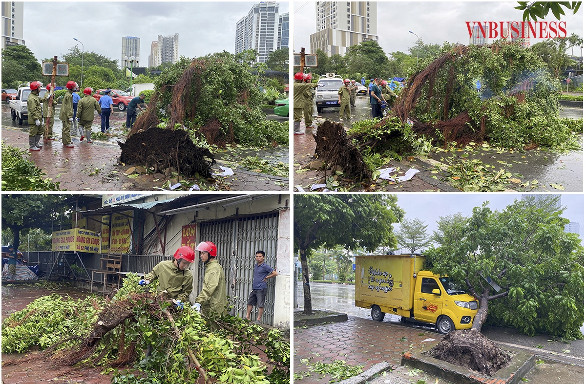 Thông tin từ Cục Quản lý đê điều và Phòng, chống thiên tai &lpar;Bộ NN&PTNT&rpar; đến 17h ngày 7/9, bão Yagi đã khiến 4 người tử vong &lpar;Quảng Ninh 3, Hải Dương 1&rpar; và 78 người bị thương &lpar;Quảng Ninh 58, Hải Phòng 20&rpar;. Phạm Hòa