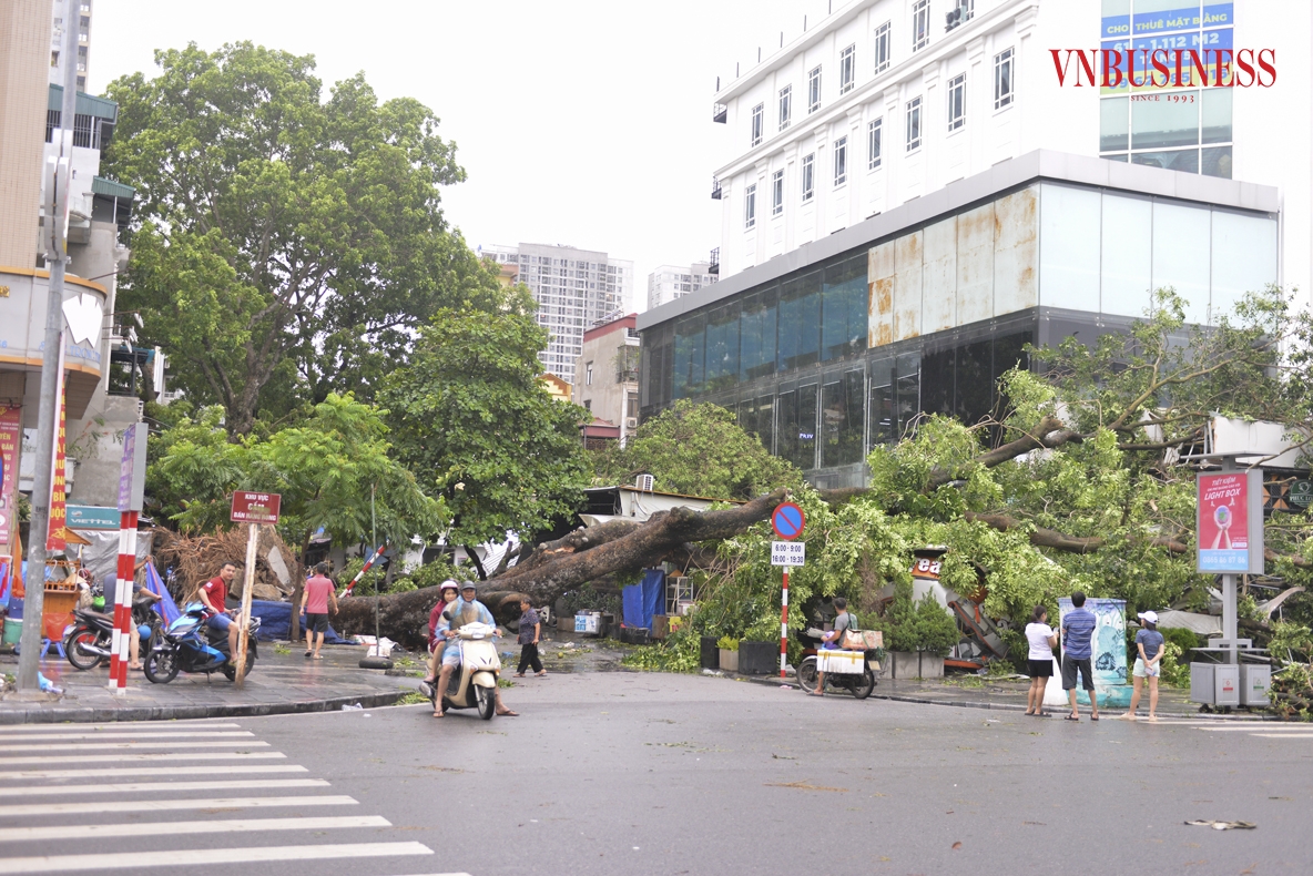 Theo ghi nhận của Pv VnBusiness vào sáng 8/9, nhiều tuyến phố Hà Nội đã bị tàn phá nặng nề sau cơn bão số 3. Cây cối hai bên đường đổ gãy ngổn ngang.