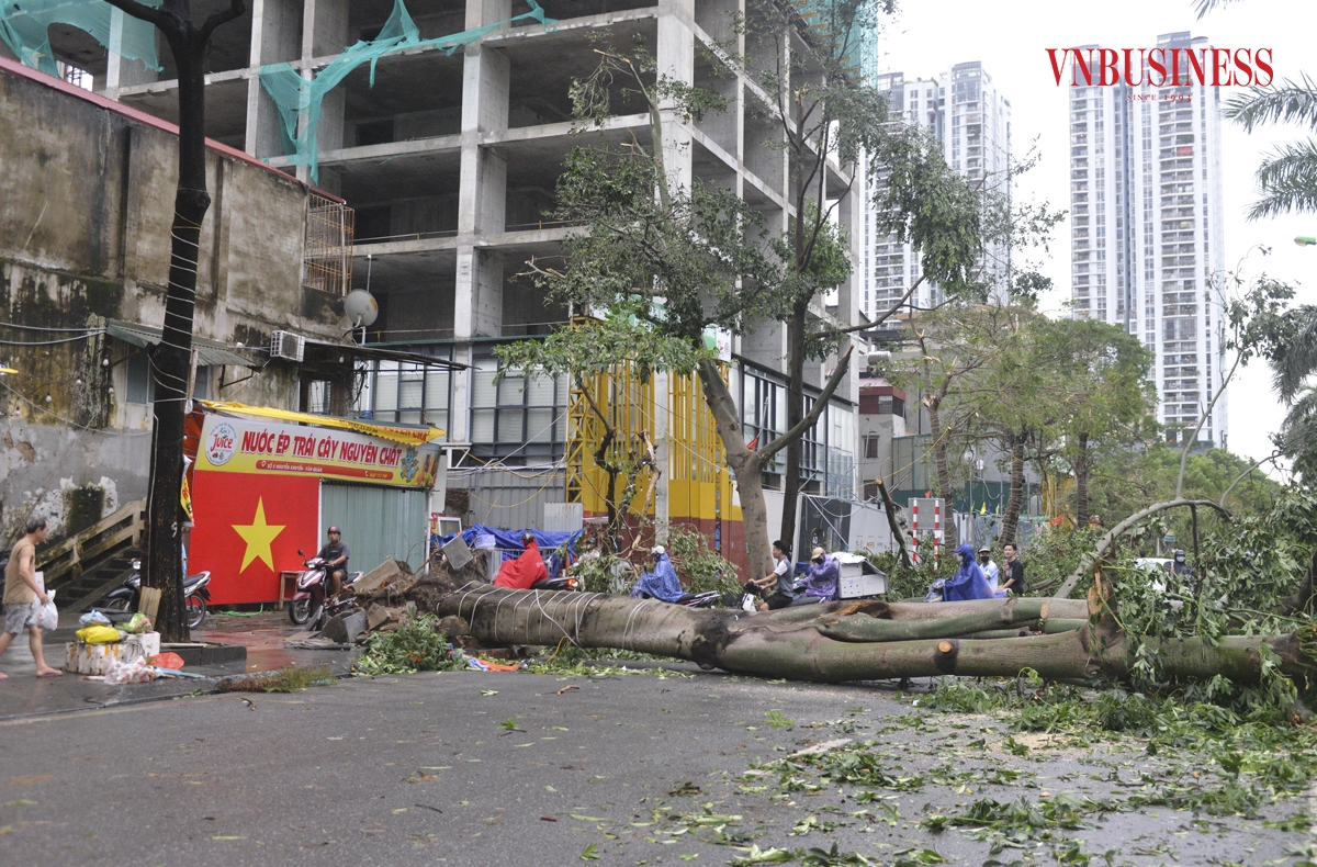 Do cây cối đổ ngang đường, giao thông bị ách tắc trên nhiều tuyến phố, khiến việc đi lại trở nên khó khăn. Phần lớn các con đường đều xuất hiện tình trạng cây xanh bị gãy, đổ cần được dọn dẹp.