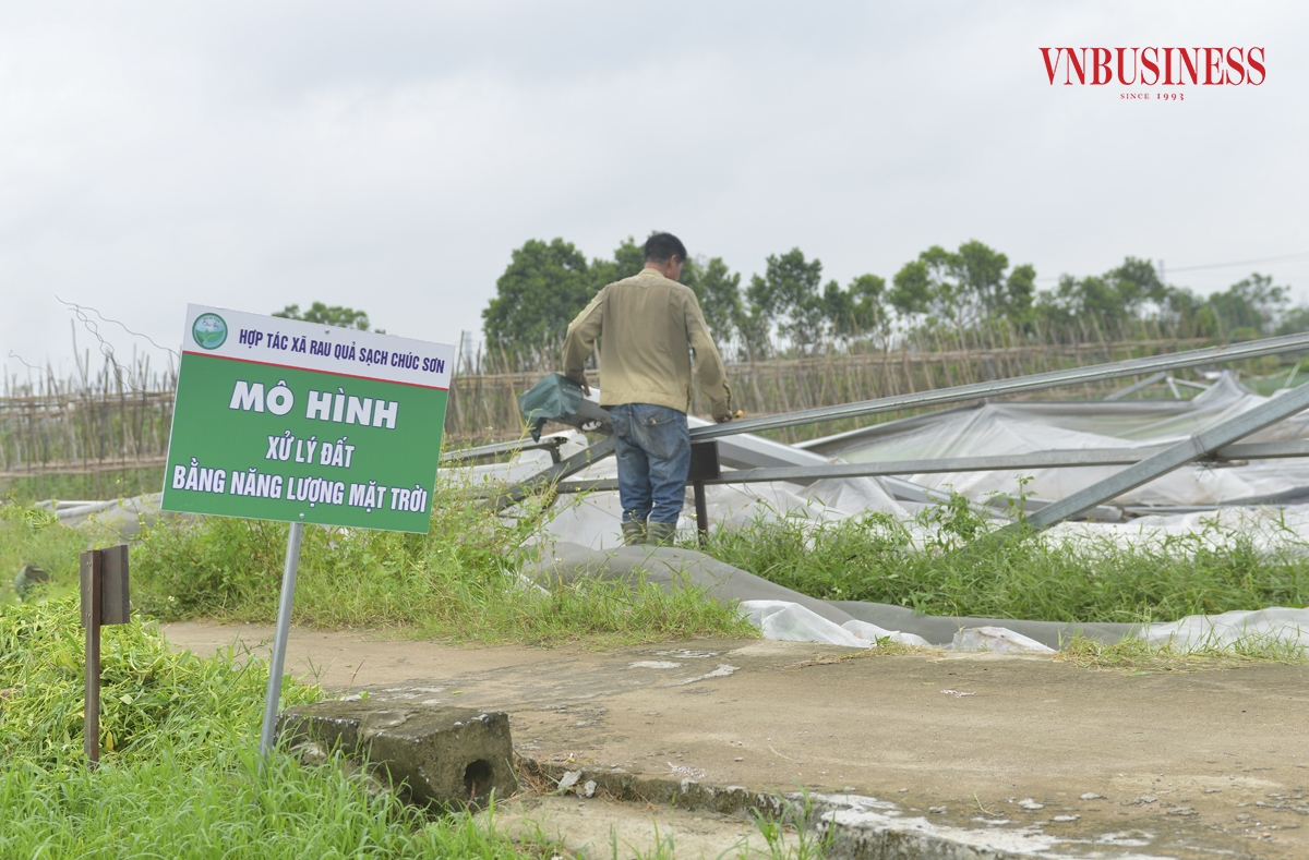 Ông Thám ước tính thiệt hại ban đầu có thể lên tới hàng tỷ đồng.