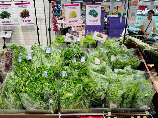 Các hệ thống siêu thị cung cấp đầy đủ với giá cả ổn định thực phẩm tươi, hàng hóa thiết yếu.