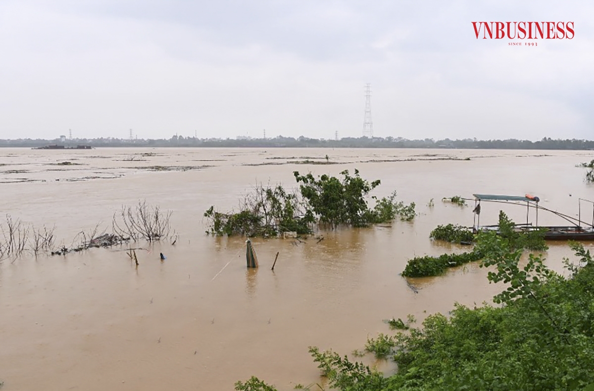 Do ảnh hưởng của cơn bão số 3 gây mưa lớn kéo dài trong nhiều ngày ở các tỉnh phía Bắc, cộng thêm các hồ thủy điện xả lũ khiến nước sông Hồng những ngày này mênh mông biển nước.