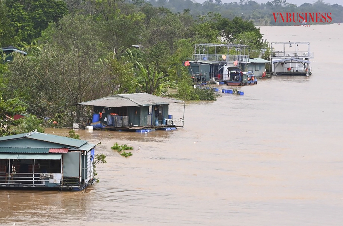 Tại khu vực bãi giữa sông Hồng đang mênh mông nước, người dân sinh sống trên những ngôi nhà nổi phải dùng nhiều biện pháp để gia cố cẩn thận, đối phó với những tình huống xấu có thể xảy ra.