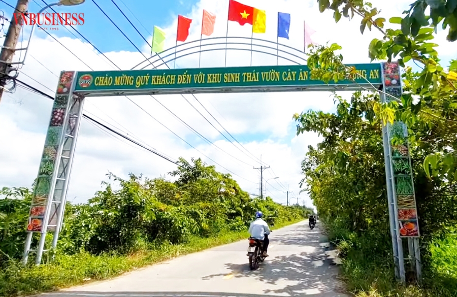 Phát triển nông nghiệp sinh thái trải nghiệm là định hướng đi bền vững của huyện Củ Chi.